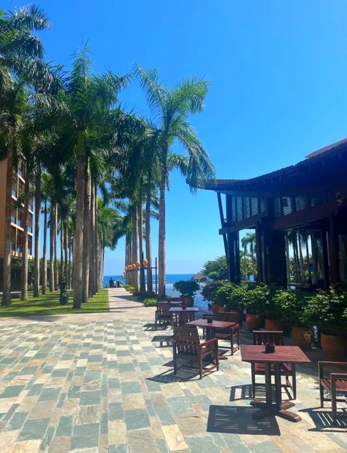 三亚湾红树林木棉酒店