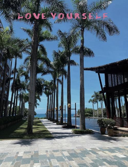 三亚湾红树林木棉酒店