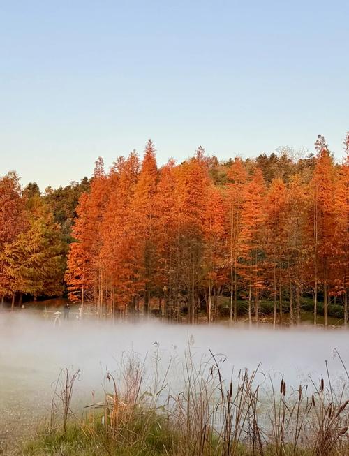 南京秋天旅游攻略景点必去