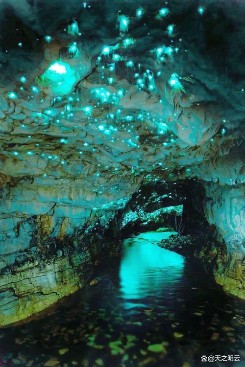 萤火虫水洞2日自驾游