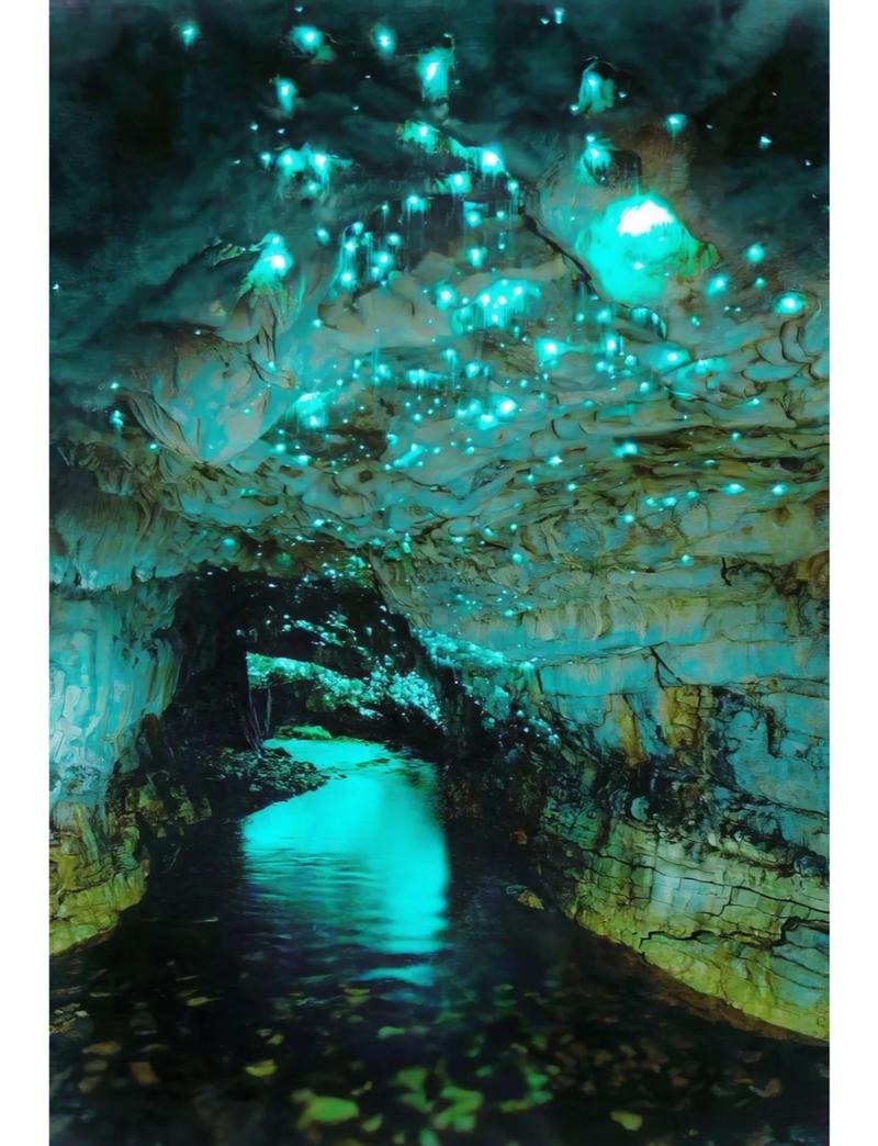 萤火虫水洞2日自驾游