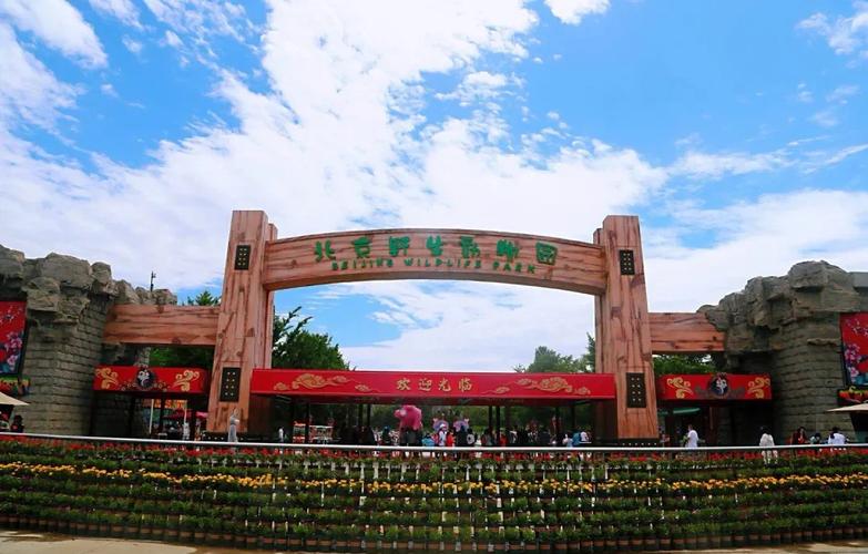 大兴区周边自驾游一天