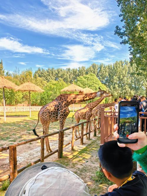 自驾游北京野生动物园