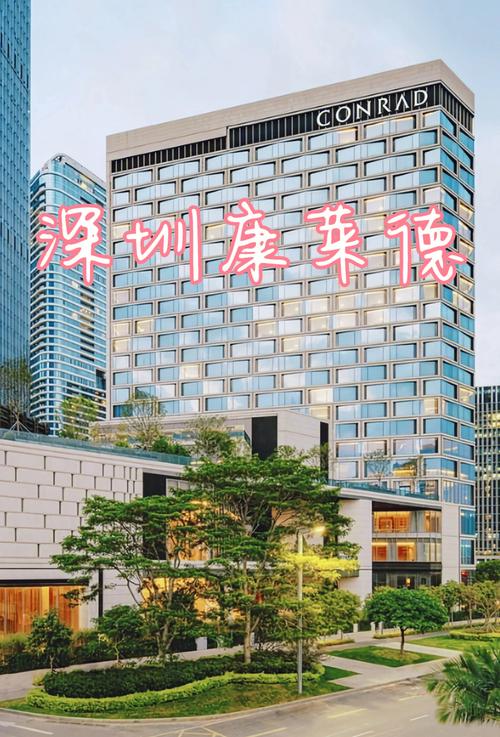 深圳有几家五星级酒店