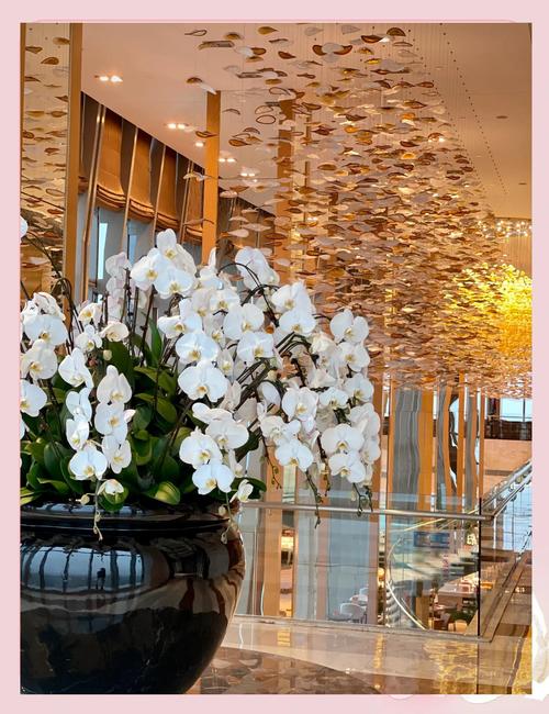 石家庄希尔顿酒店地址