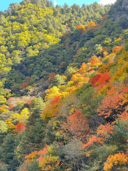 国庆节自驾游四川周边