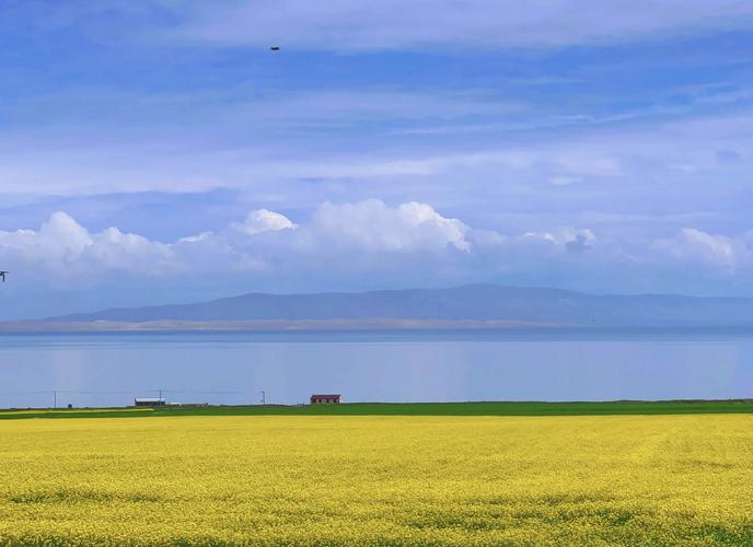 郑州市到青海湖自驾游