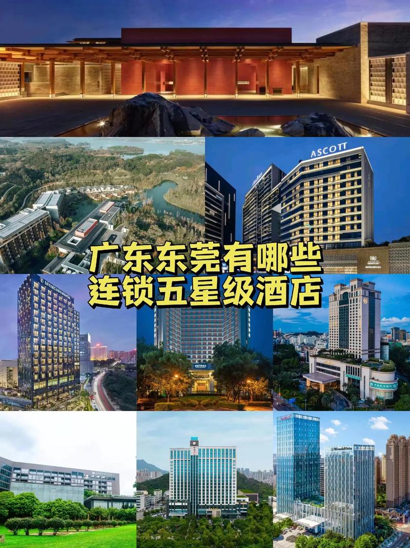 五星级连锁酒店有哪些