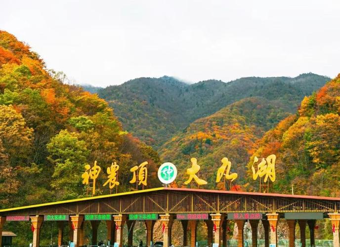 到神农架大九湖自驾游