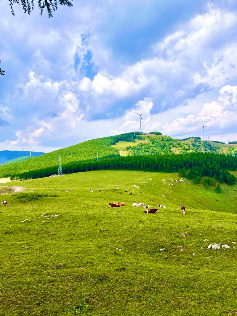 4月份河北周边自驾游