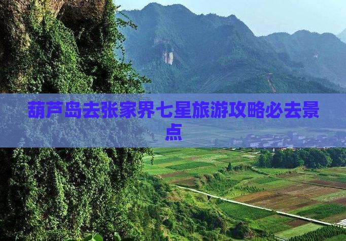 葫芦岛到张家界自驾游