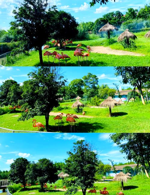 高淳一日游必去景点推荐