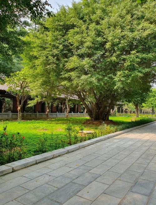 越南宁平有哪些旅游景点