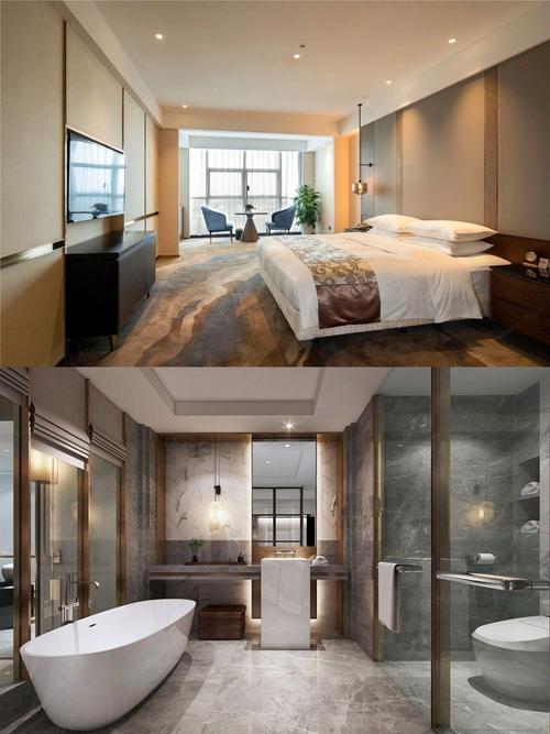 维景国际大酒店几星级