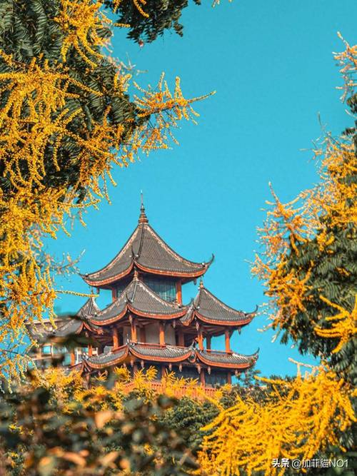 成都不要门票的旅游景点