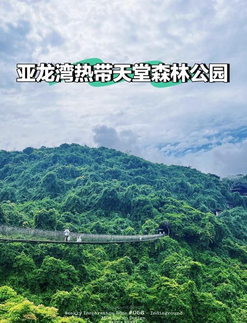 亚龙湾森林公园景点门票