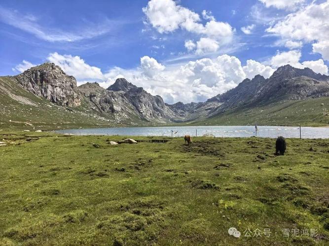 成都至年保玉则自驾游