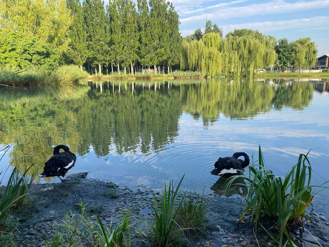 北京海淀区免费景点大全