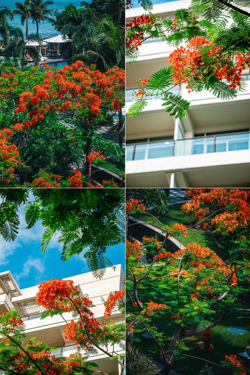 三亚亚龙湾美高梅酒店