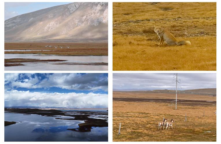 三江源自驾游旅游攻略