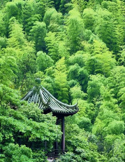 宜兴旅游攻略必玩的景点