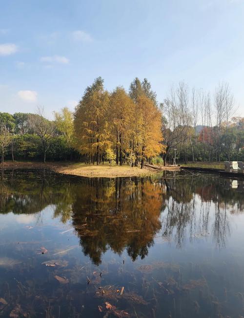 长广溪湿地公园景点介绍