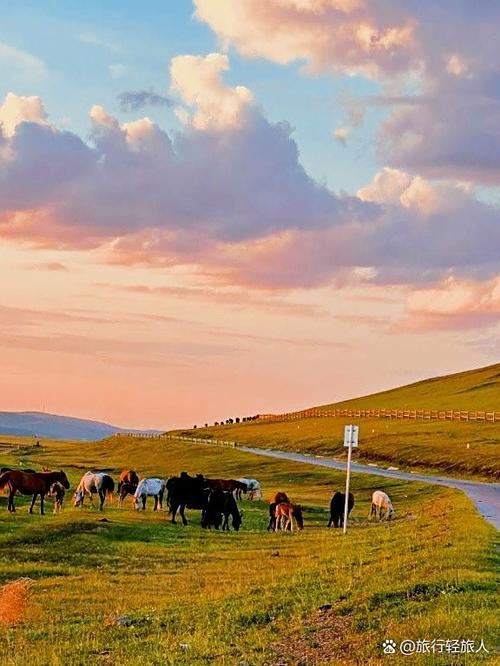 科尔沁潮海自驾游攻略