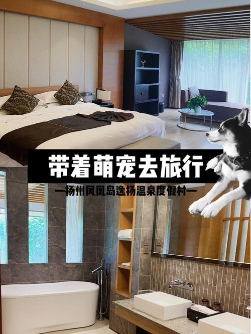 可携带宠物入住的酒店