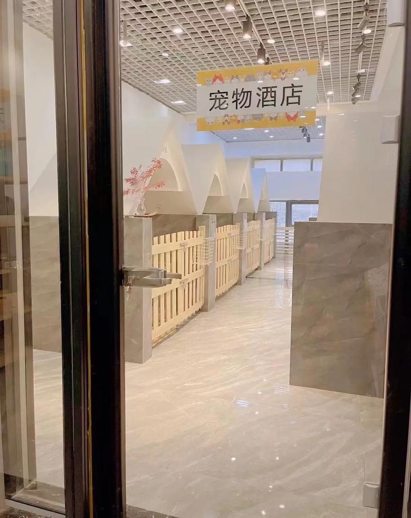 可携带宠物入住的酒店