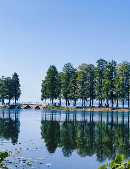 武汉东湖最值得去的景点