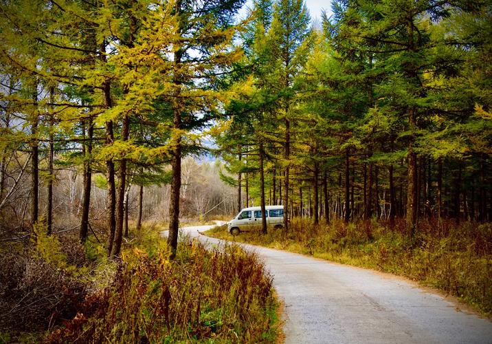 千松坝森林公园自驾游