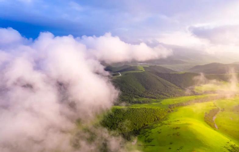 千松坝森林公园自驾游