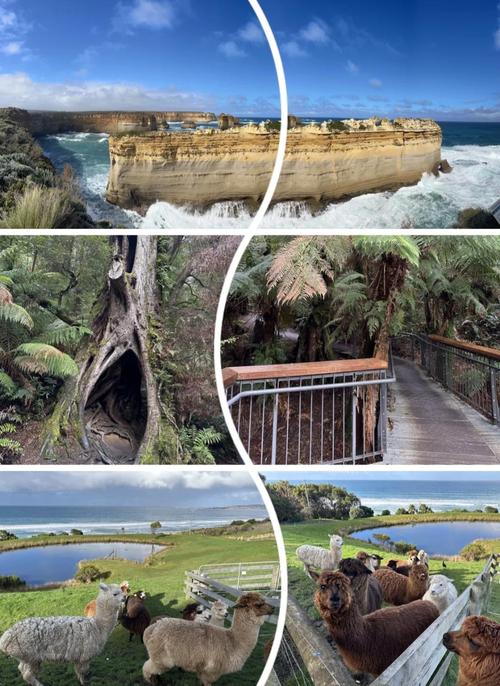 澳大利亚大洋路景点介绍