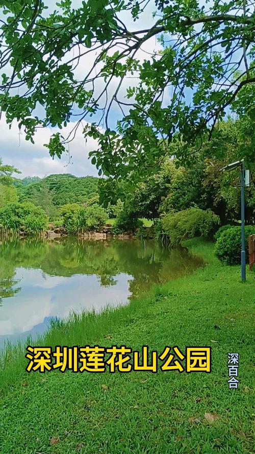 深圳不要门票的旅游景点