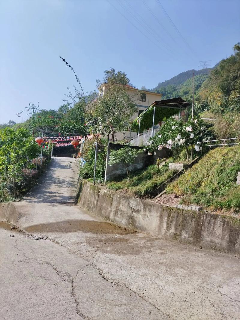 重庆万州自驾游农家乐