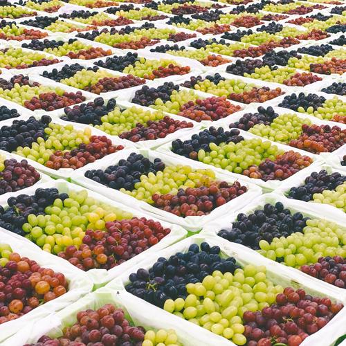 新疆的特产和景点有哪些