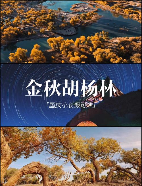 郑州出发自驾游额济纳