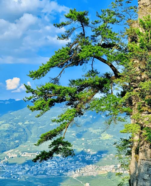 神龙架三日自驾游攻略