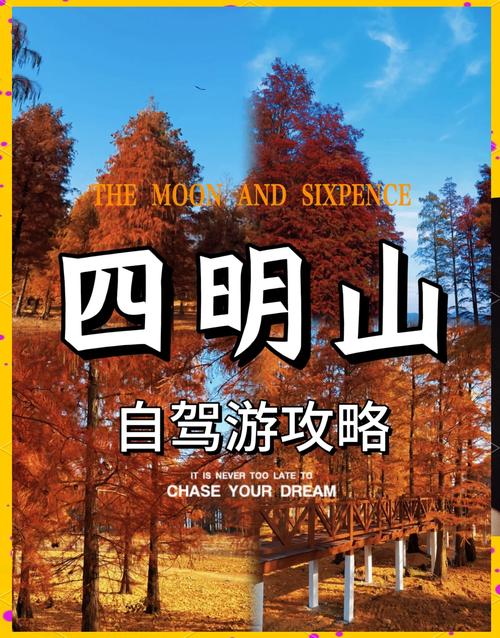 4人自驾游好还跟团好