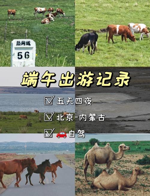 北京到内蒙自驾游5天