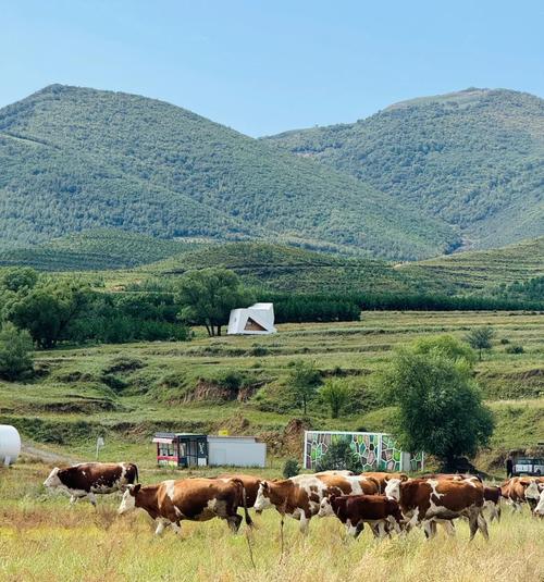 内蒙古自驾游最佳季节