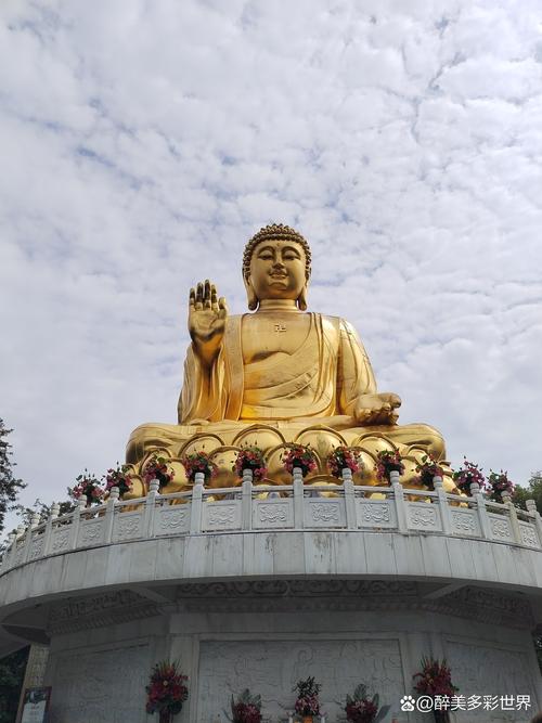 九龙坡附近景点旅游景点