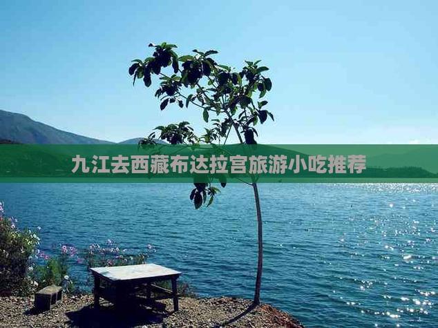 九江到拉萨自驾游攻略