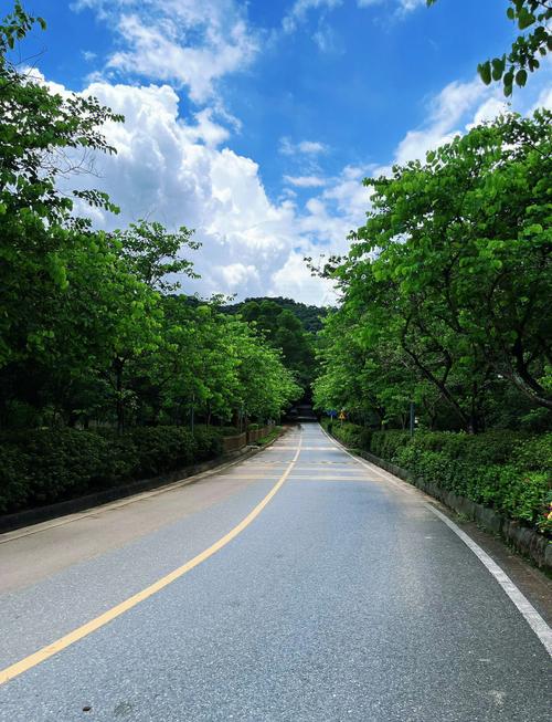 大岭山森林公园自驾游