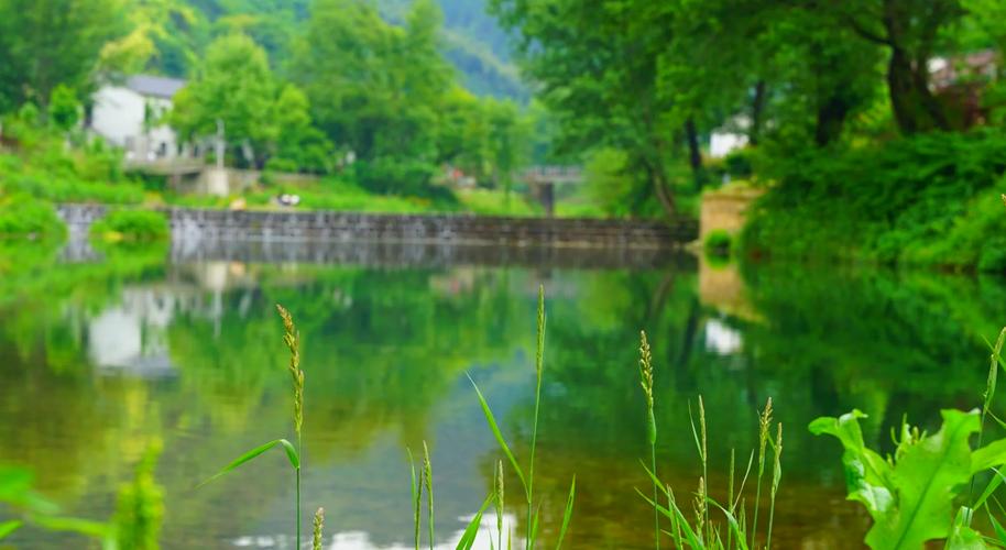 霍山长院自驾游露营地