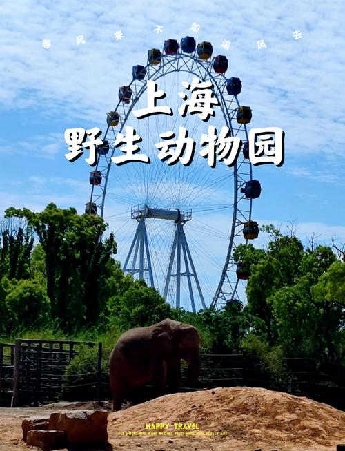 上海野生动物园周边景点