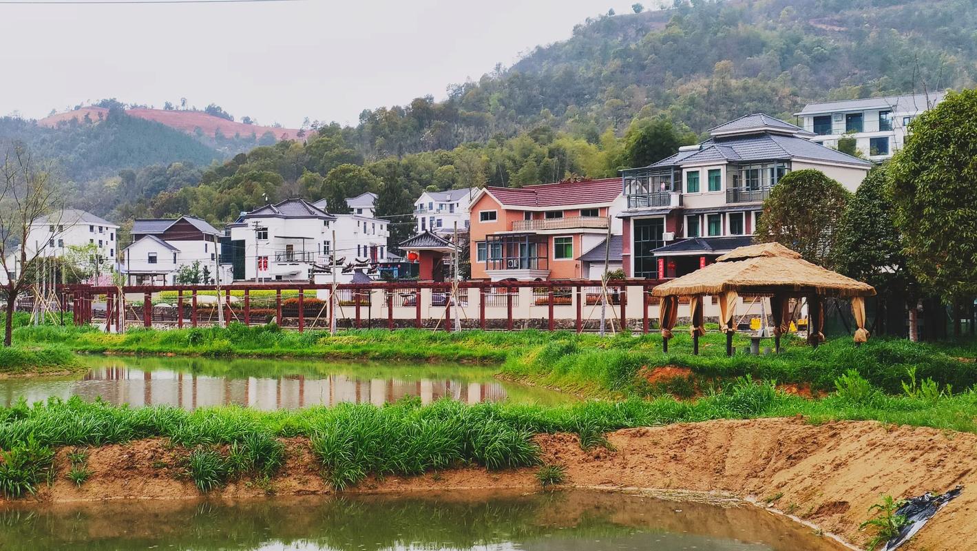 建德市自驾游 农家乐