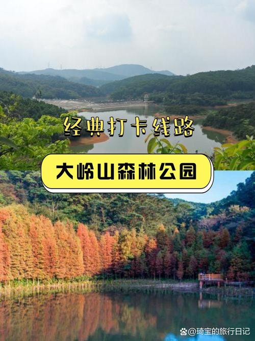 大岭山森林公园景点介绍