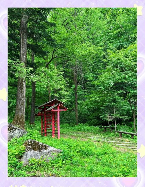 长春市十一周边自驾游