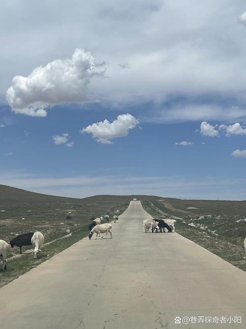 石家庄自驾游锡林郭勒